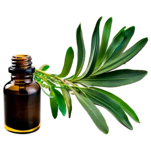 Vetiver Essential Oil Png Nlb13 PNG Image