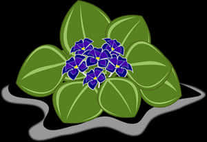 Vibrant African Violets Illustration PNG image with transparent background