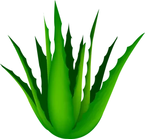 Vibrant Aloe Vera Plant Illustration PNG Image