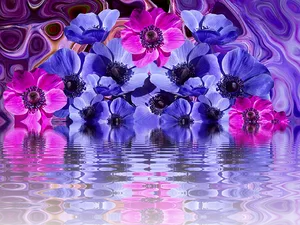 Vibrant Anemones Reflection PNG Image