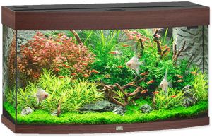 Aquarium Png, Transparent Png PNG image with transparent background