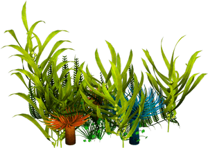 Vibrant Aquatic Plants PNG image with transparent background