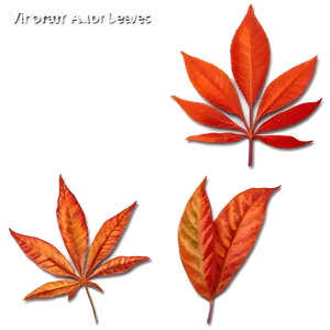 Vibrant Auburn Leaves Png Bvn PNG Image