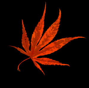 Vibrant Autumn Maple Leaf PNG image with transparent background