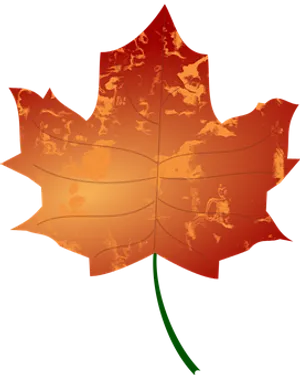 Vibrant Autumn Maple Leaf PNG Image