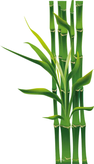 Vibrant Bamboo Greenery.png PNG Image