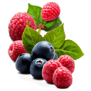 Vibrant Berries Mix PNG ath51 PNG with transparent background