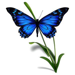 Vibrant Blue Butterfly Graphic PNG 05212024 PNG image with transparent background
