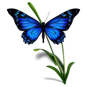 Vibrant Blue Butterfly Graphic Png 05212024 PNG Image