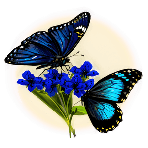 Vibrant Blue Butterfly Graphic PNG doq PNG image with transparent background