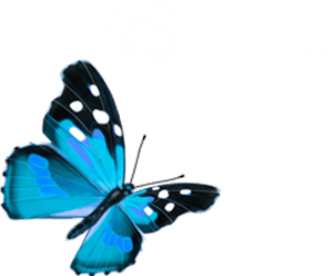 Vibrant Blue Butterfly Graphic PNG image with transparent background