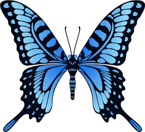 Vibrant Blue Butterfly Illustration PNG image with transparent background