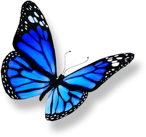 Vibrant Blue Butterfly PNG Image