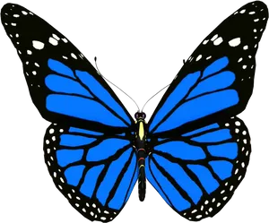 Vibrant Blue Butterfly.png PNG Image