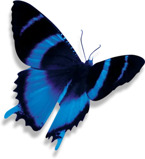 Vibrant Blue Butterfly PNG Image