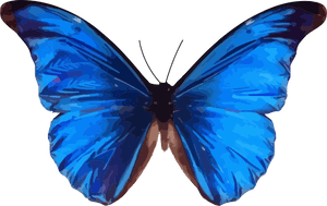 Vibrant_ Blue_ Butterfly_ Vector_ Art.png PNG image with transparent background