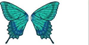 Vibrant Blue Butterfly Wings PNG Image