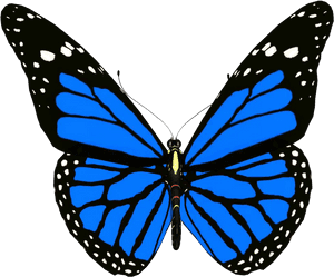 Vibrant Blue Butterfly.png PNG image with transparent background