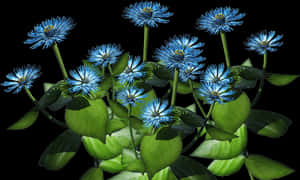 Blue Plant Png - Tropical Shrub With Blue Flowers, Transparent Png PNG image with transparent background