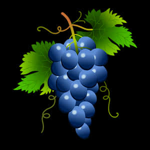 Vibrant_ Blue_ Grapes_ Vector PNG image with transparent background