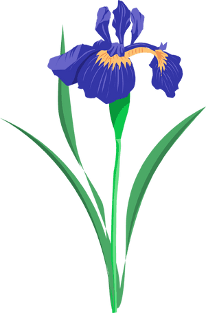 Iris Cliparts - Collierville Fair On The Square, HD Png Download PNG image with transparent background