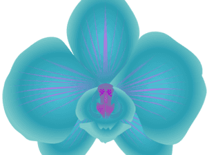 Orchid Clipart Orchid Flower - Blue Orchid Clip Art, HD Png Download PNG image with transparent background