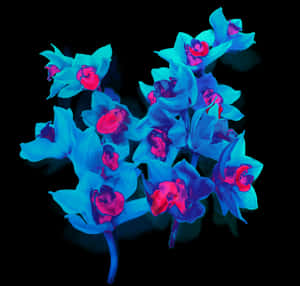 Blue Orkide Png, Transparent Png PNG image with transparent background
