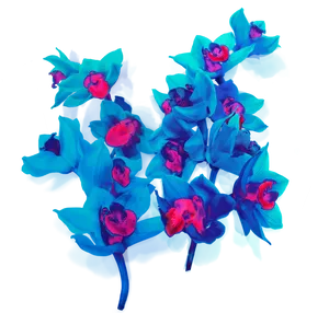 Vibrant Blue Orchids PNG Image