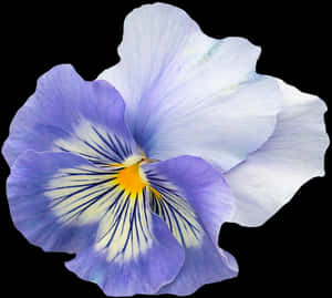 Vibrant Blue Pansy Flower PNG image with transparent background