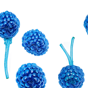Vibrant Blue Raspberry PNG 31 PNG