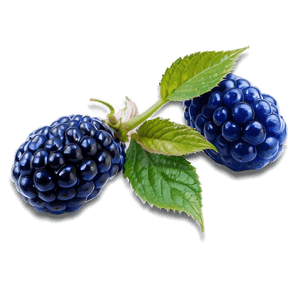 Vibrant Blue Raspberry PNG ass PNG