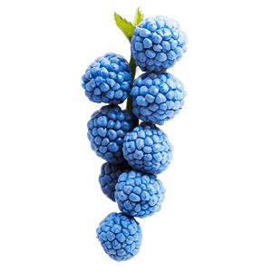 Vibrant Blue Raspberry PNG cas50 PNG