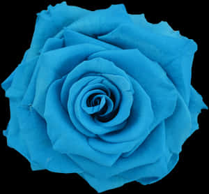 Preserved Rose Light Blue - Light Blue Flower Png, Transparent Png PNG image with transparent background