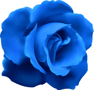 Rose Clip Art Image - Blue Rose Png, Transparent Png PNG image with transparent background