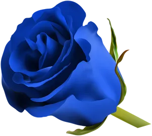 Vibrant Blue Rose Graphic PNG Image