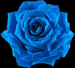 Transparent Real Flower Png - Transparent Background Blue Flower Png, Png Download PNG image with transparent background