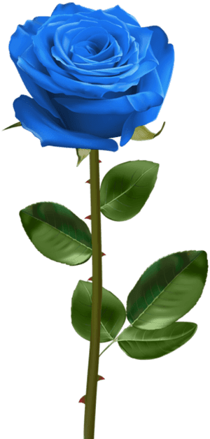 Blue Rose With Stem Png - Transparent Background Blue Rose Png, Png Download PNG with transparent background