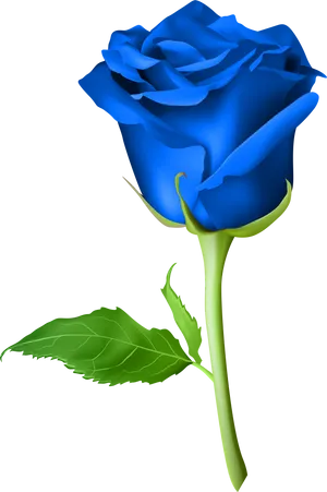 Vibrant Blue Roseon Black Background PNG Image