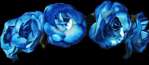Blue Flower Crown Png, Transparent Png PNG image with transparent background