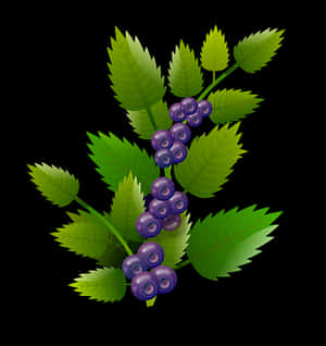 Vibrant Blueberrieson Branch PNG image with transparent background