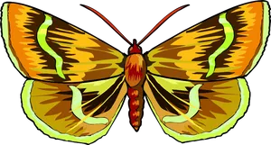 Vibrant Butterfly Illustration PNG Image