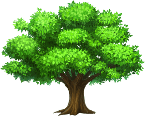 Pin Rainforest Clipart Narra - Tree Clipart, HD Png Download PNG image with transparent background