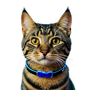 Vibrant Cat Collar Png 06292024 PNG Image