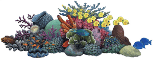 Vibrant_ Coral_ Reef_and_ Marine_ Life.png PNG image with transparent background