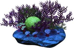Free Download Transparent Coral Png Clipart Coral Reef - Coral Reef Transparent Background, Png Download PNG with transparent background