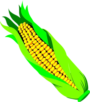 Vibrant Corn Illustration PNG Image