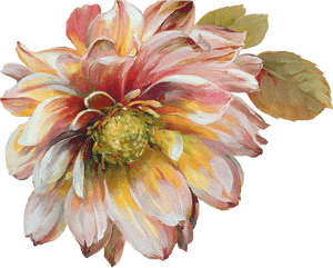 Dahlia Flowers Painted Png, Transparent Png PNG image with transparent background