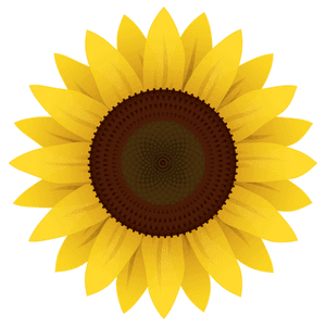 Vibrant Digital Sunflower Art PNG with transparent background