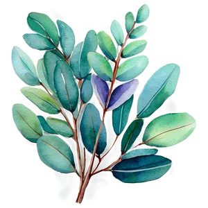 Vibrant Eucalyptus Watercolor Png Huy80 PNG Image