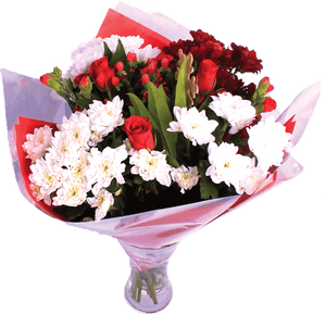 Christmas Cheers Fresh Flower Bouquet - Bouquet, HD Png Download PNG with transparent background